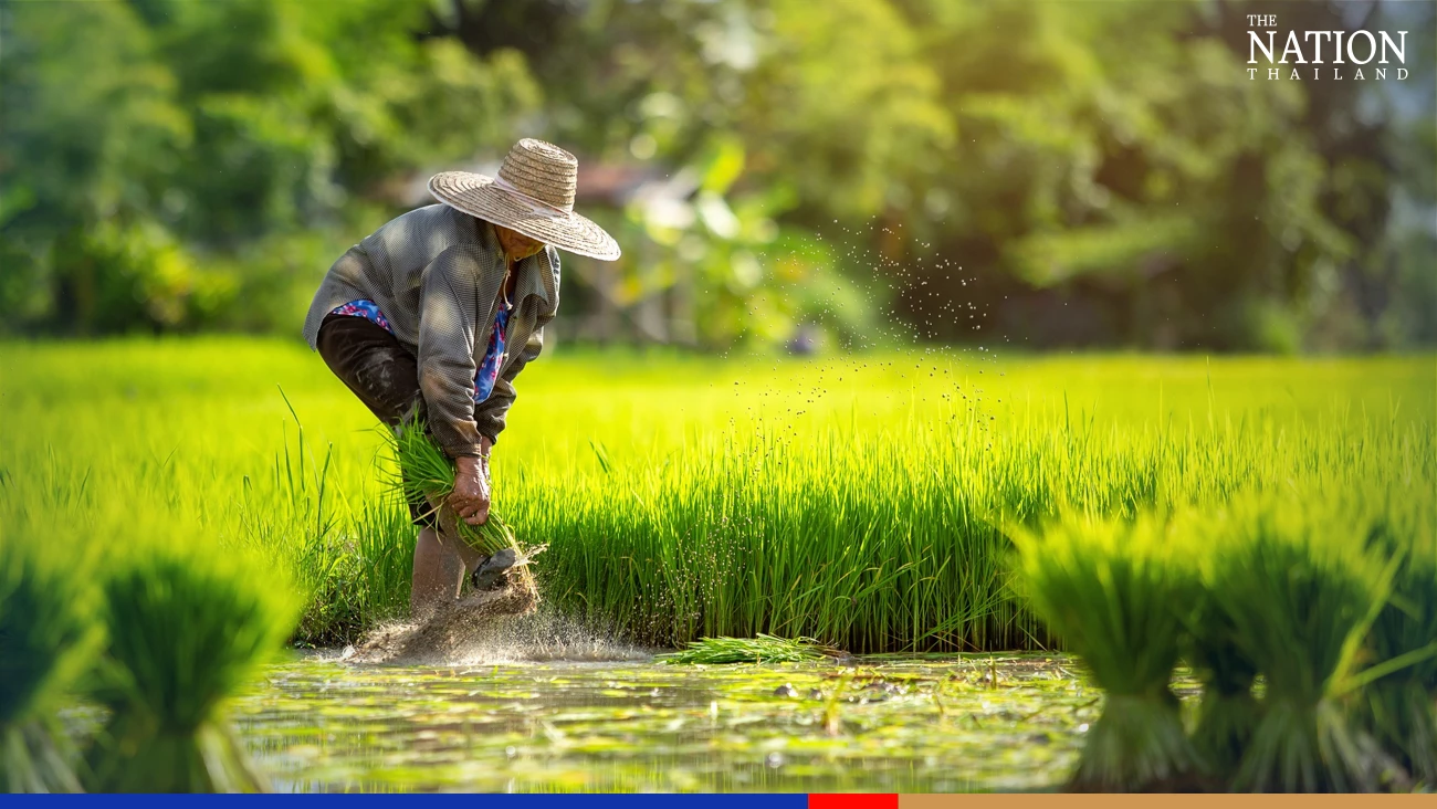 Freebies not the solution to challenges faced by Thai farmers, says World Bank