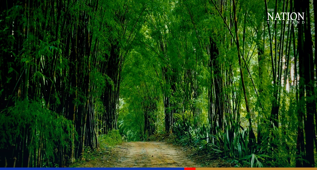 A “Soothing” Idea of Art for “Natasha”