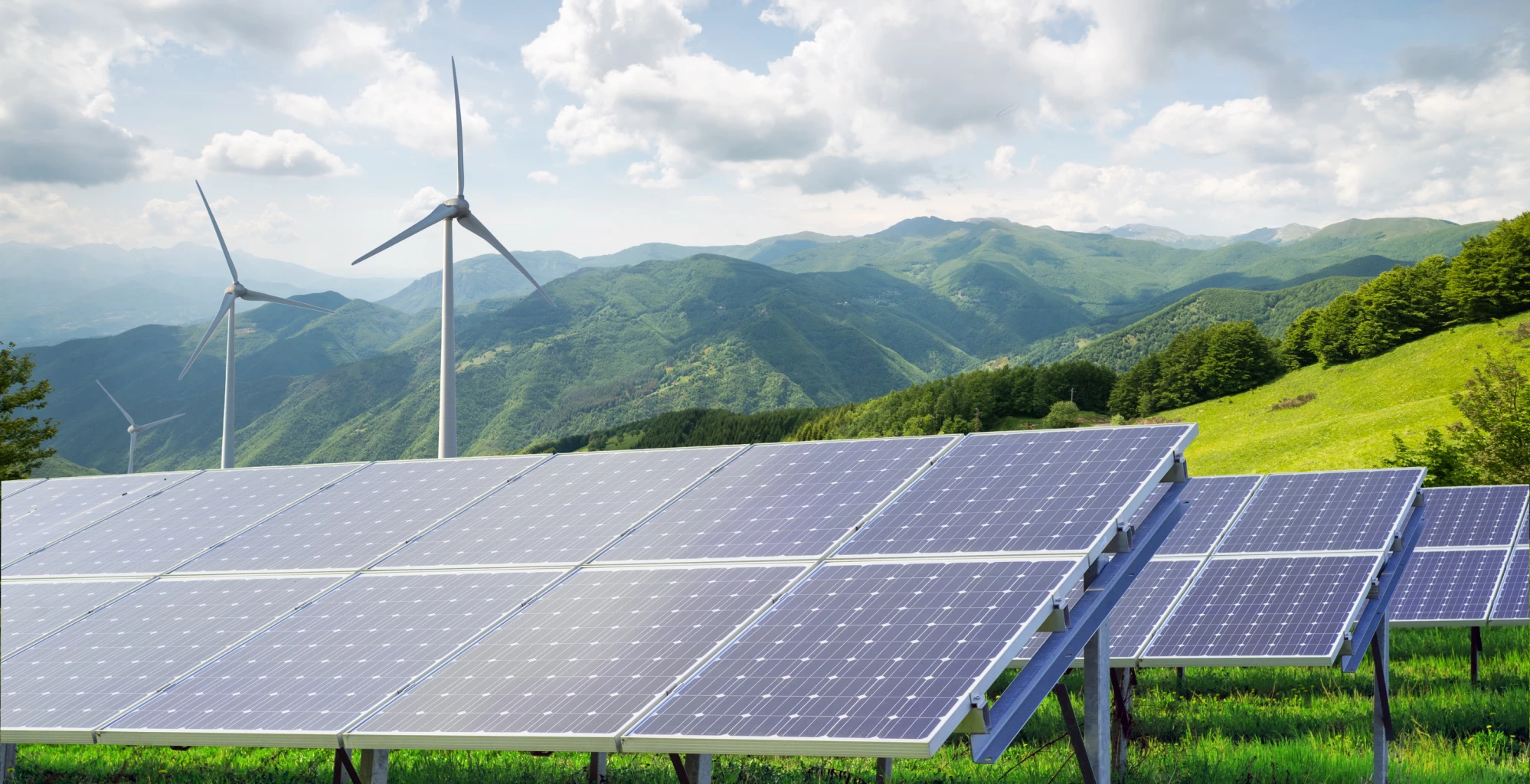 BCG and the path to green energy in APEC