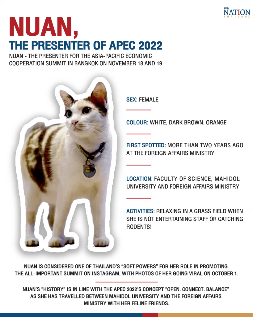 Nuan - The Presenter for the Asia-Pacific Economic Cooperation summit in Bangkok on November 18 and 19