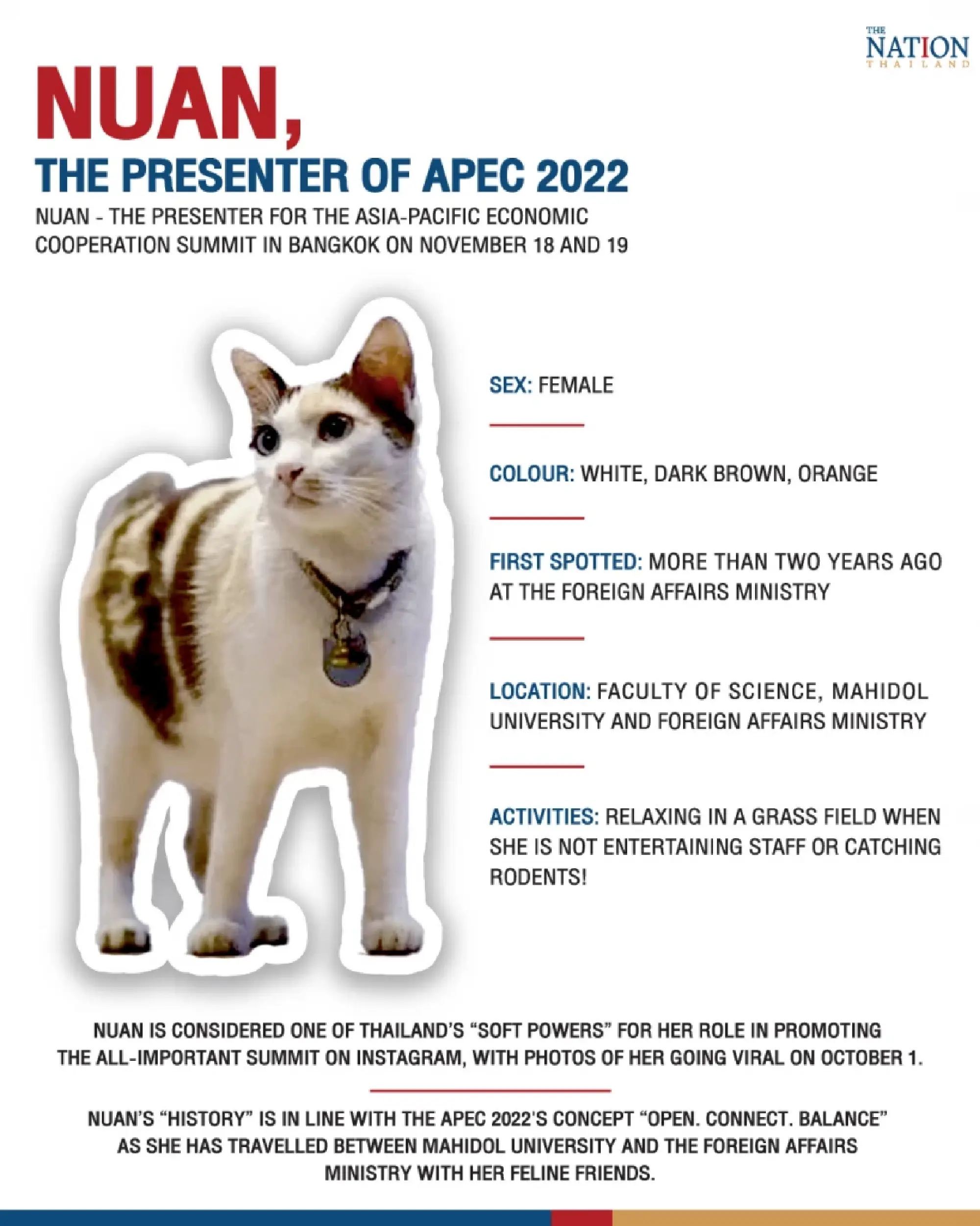 Nuan - The Presenter for the Asia-Pacific Economic Cooperation summit in Bangkok on November 18 and 19