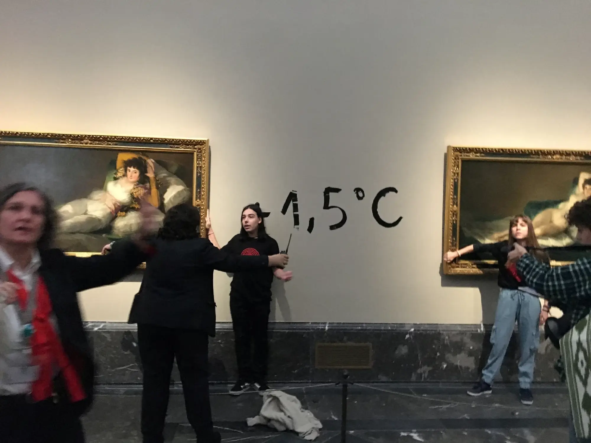 Man, woman glue themselves to Goya's paintings at Madrid museum in climate protest