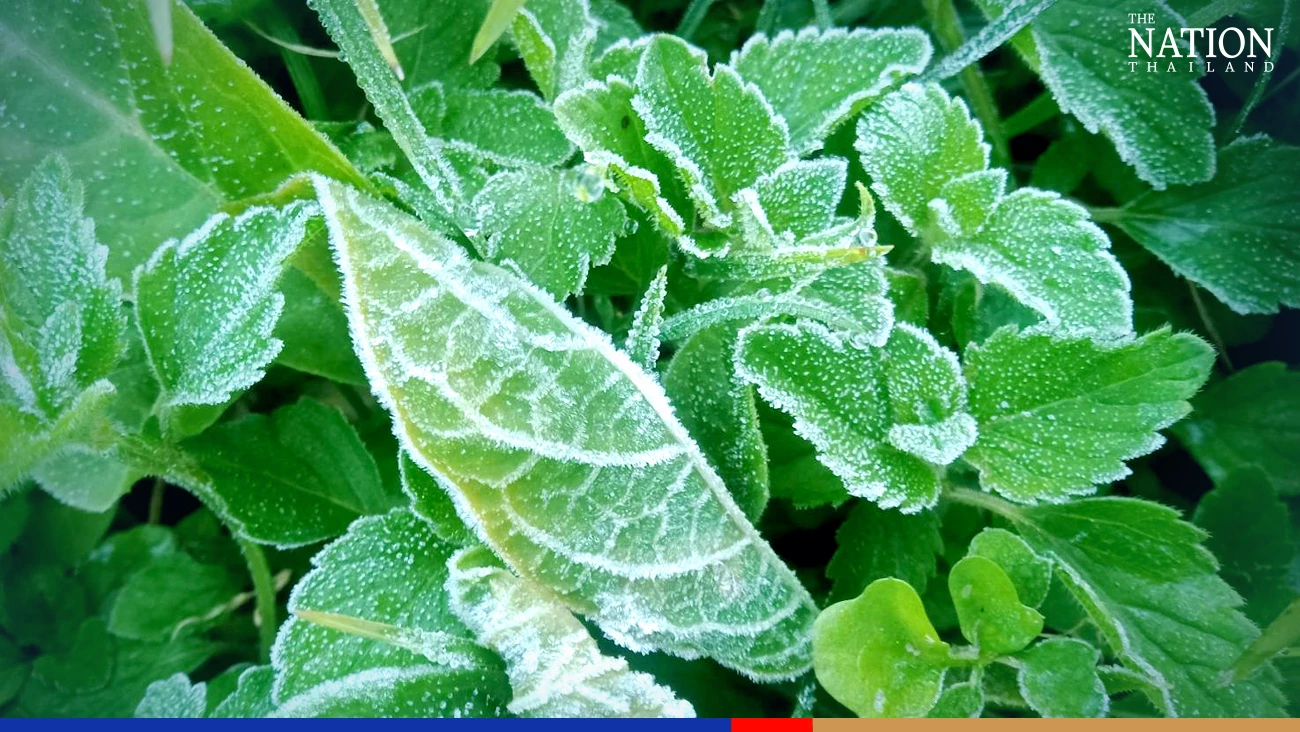 Thai city folk rush up North as mercury drops