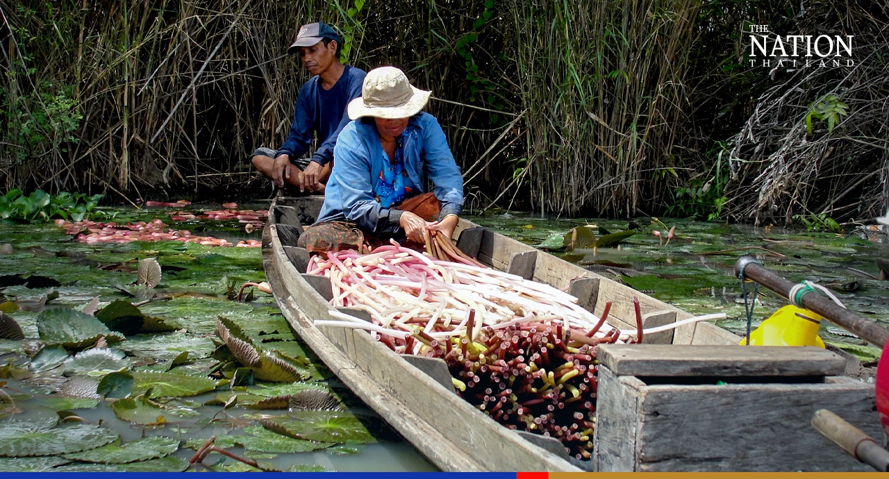Thailand receives its first Globally Important Agricultural Heritage System recognition