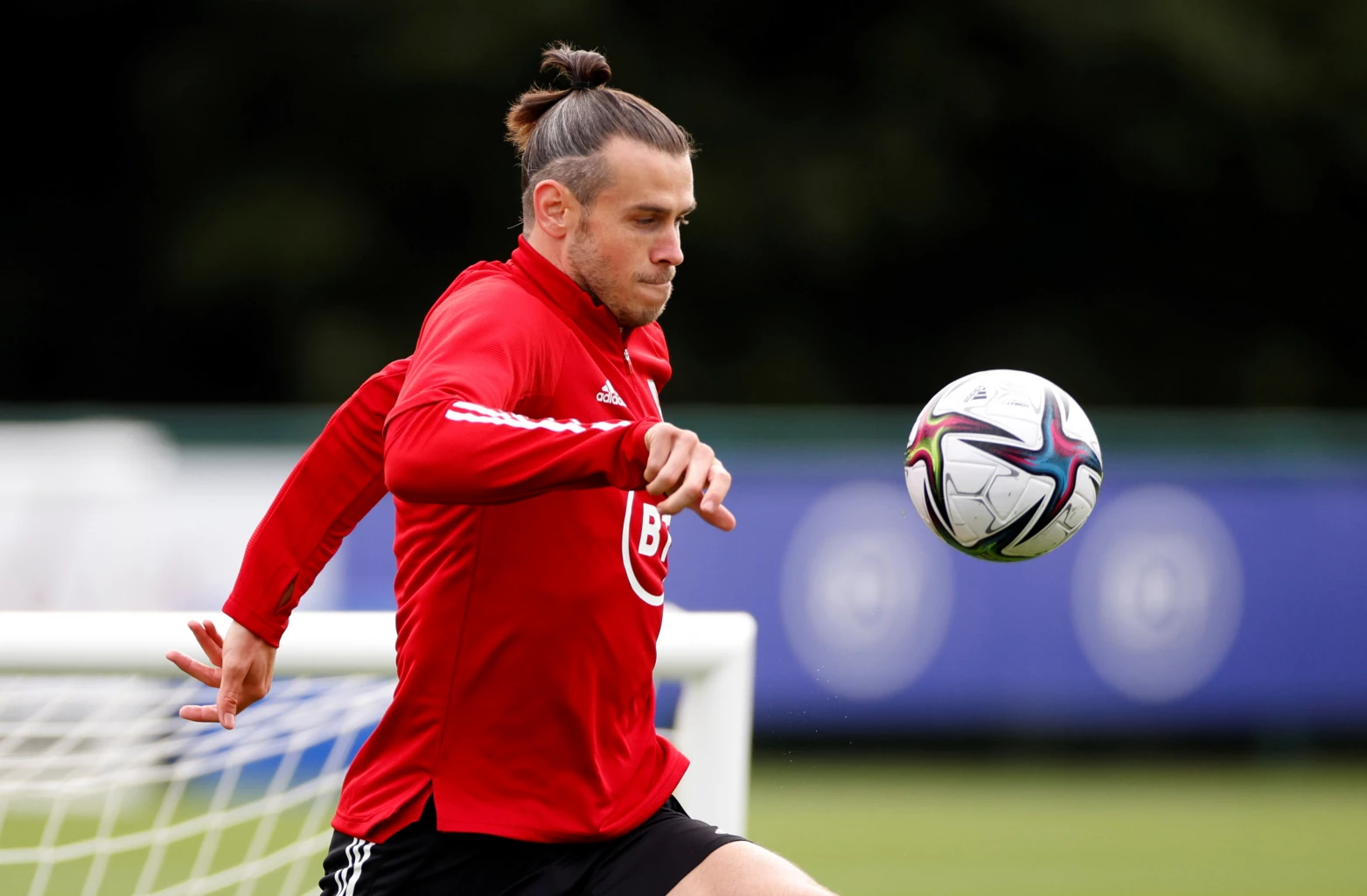 Welsh dragon ready to roar after lengthy World Cup absence