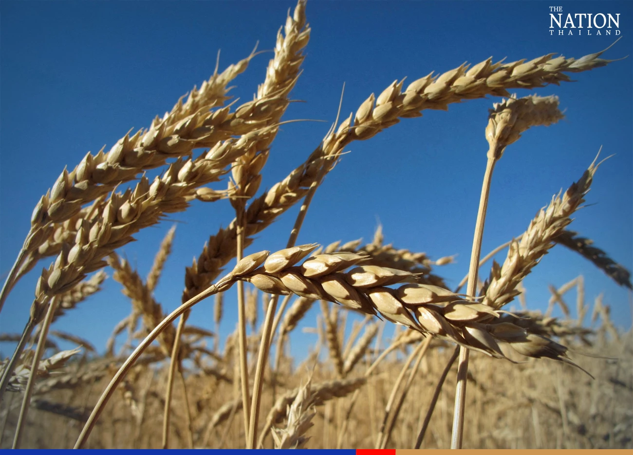 Jebsen & Jessen Technology – Turf & Irrigation seals exclusive partnership with Netafim