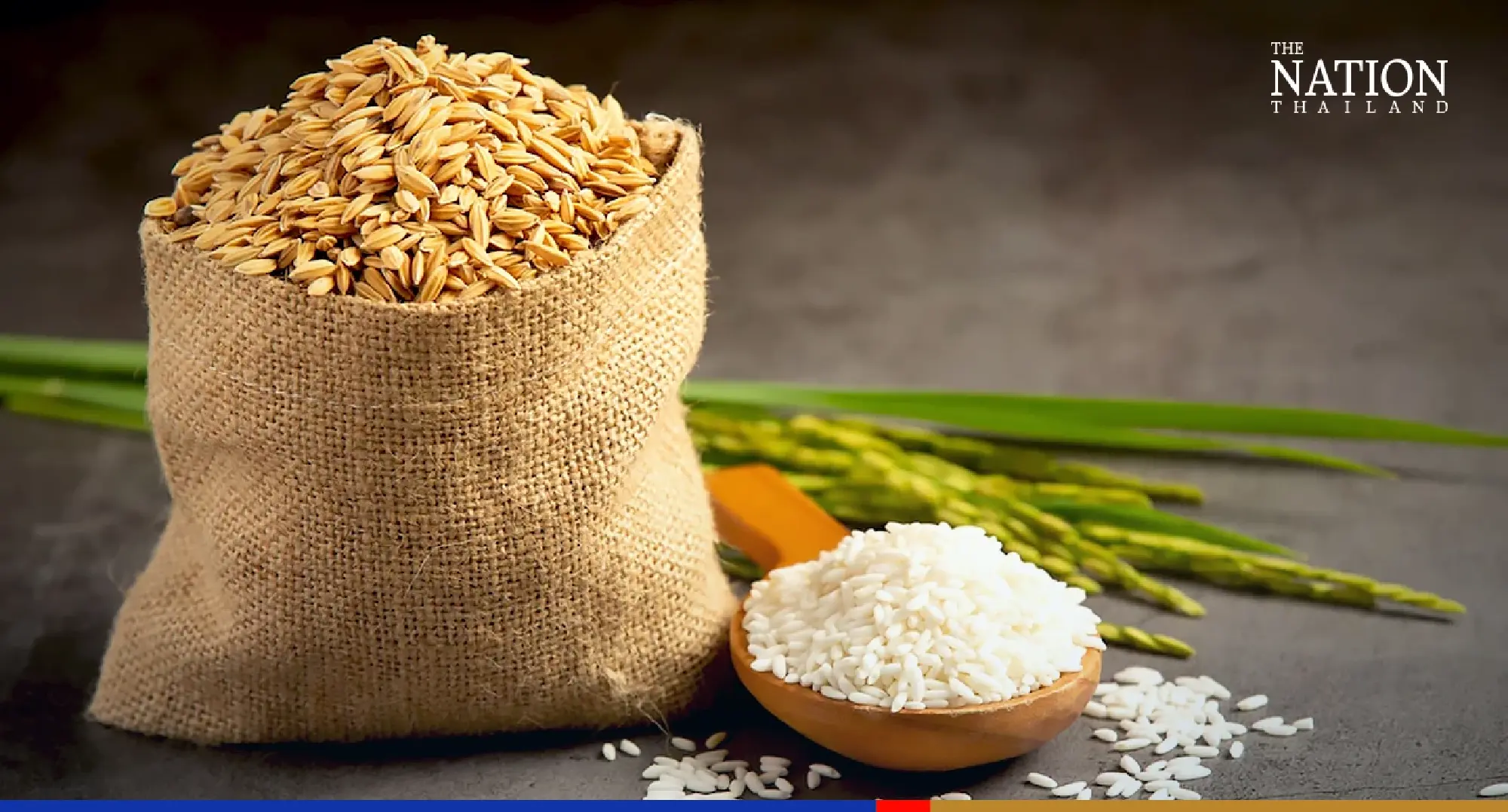 Rice price subsidy slashed by THB80bn as market price rises