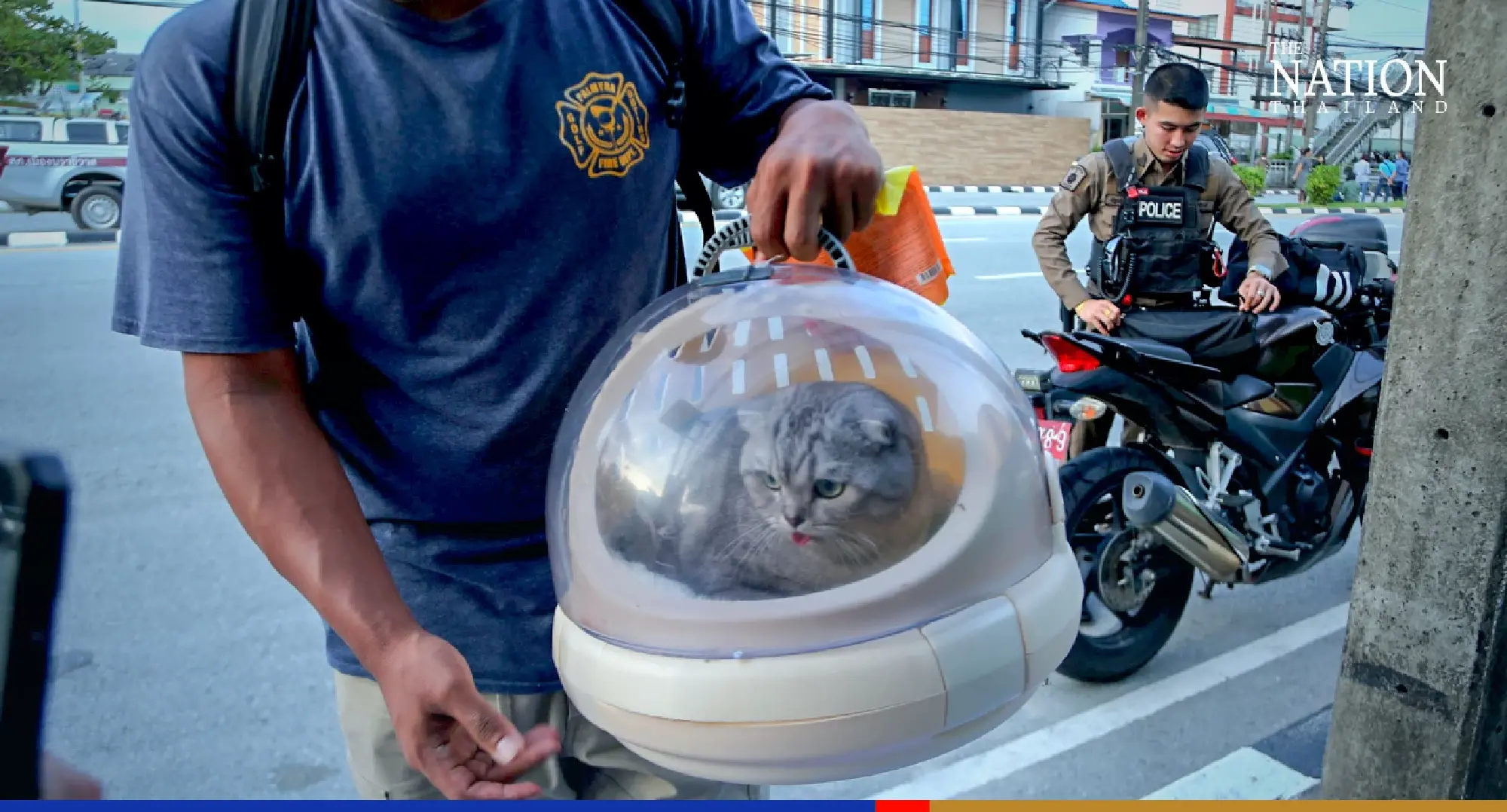 Frightened feline loses place to stay after Narathiwat blast