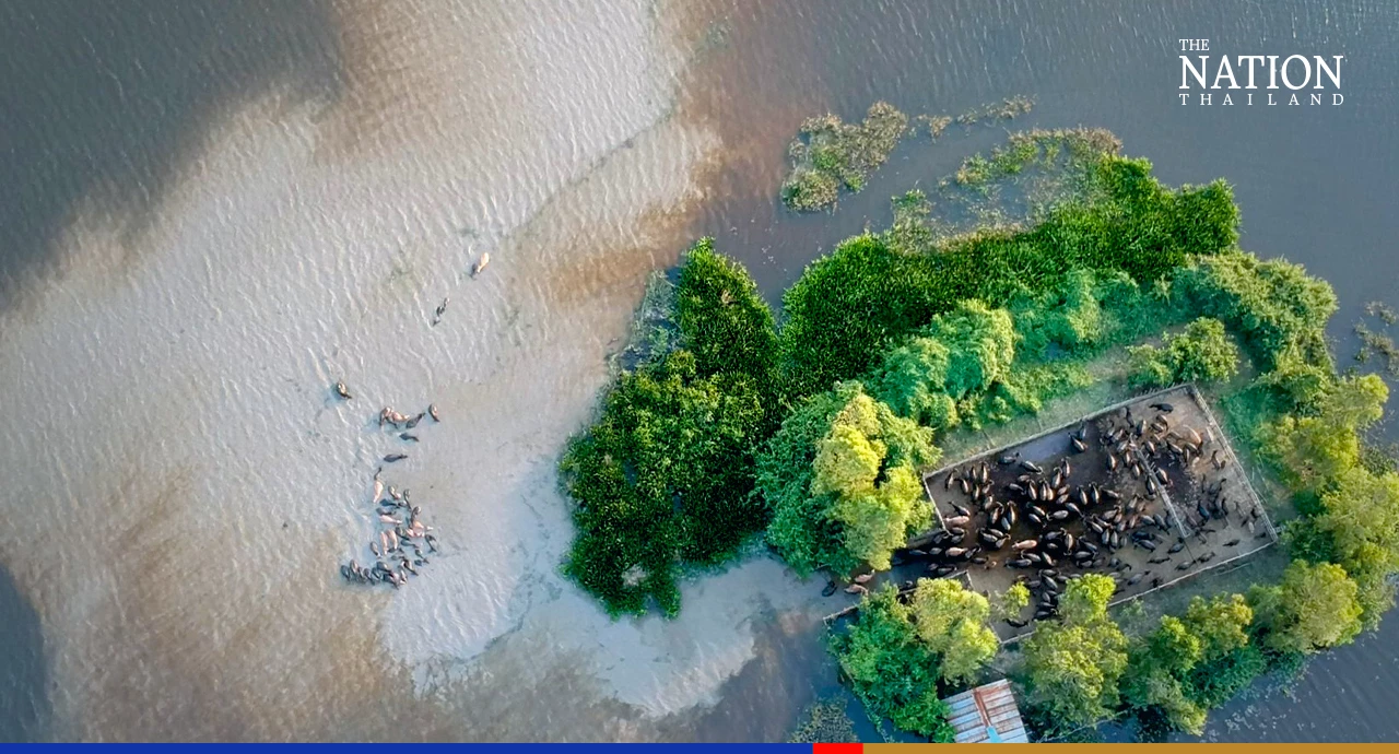 Thailand receives its first Globally Important Agricultural Heritage System recognition