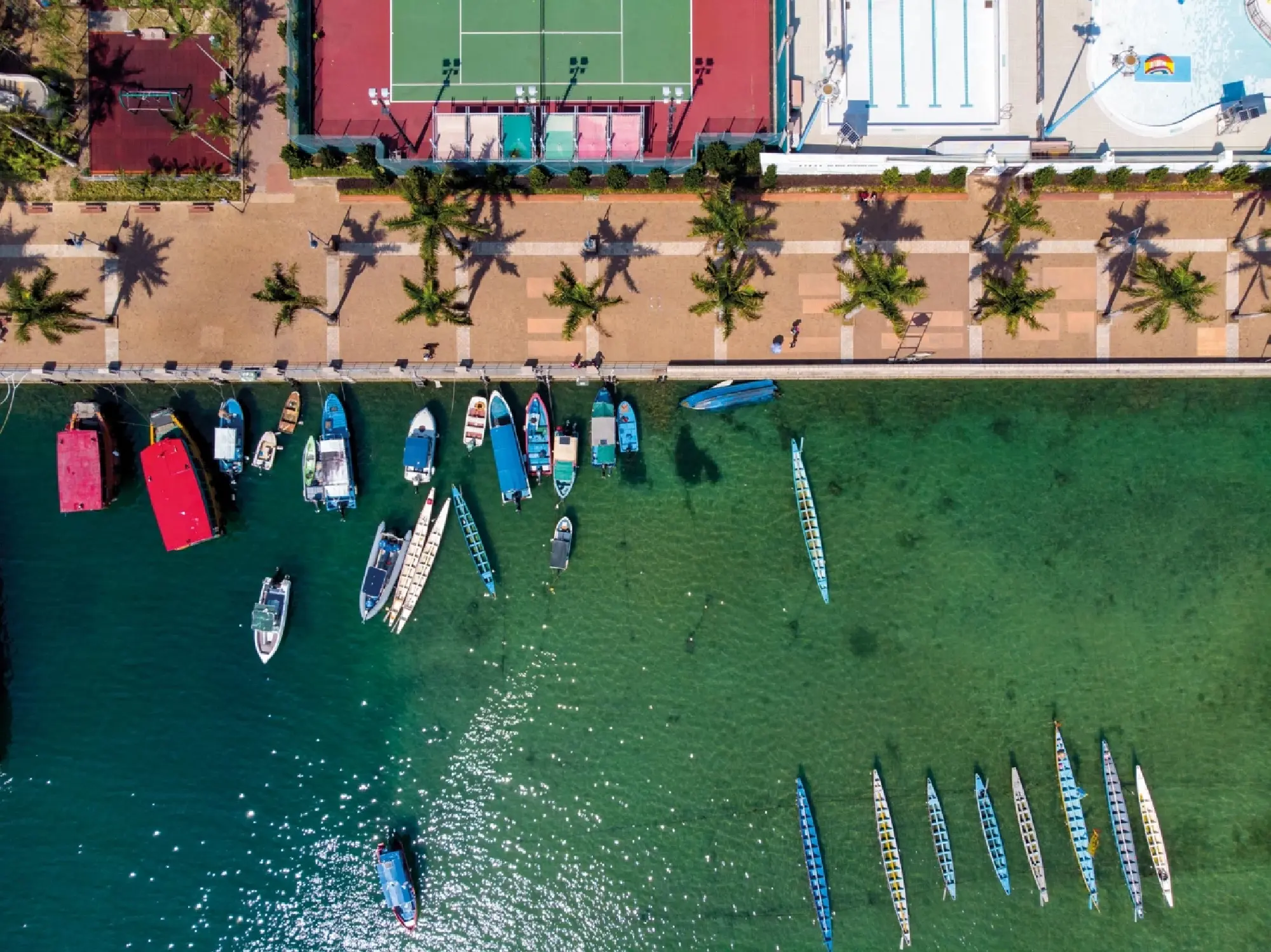 The Ideal Activities for You in Hong Kong,  According to Your Zodiac Sign