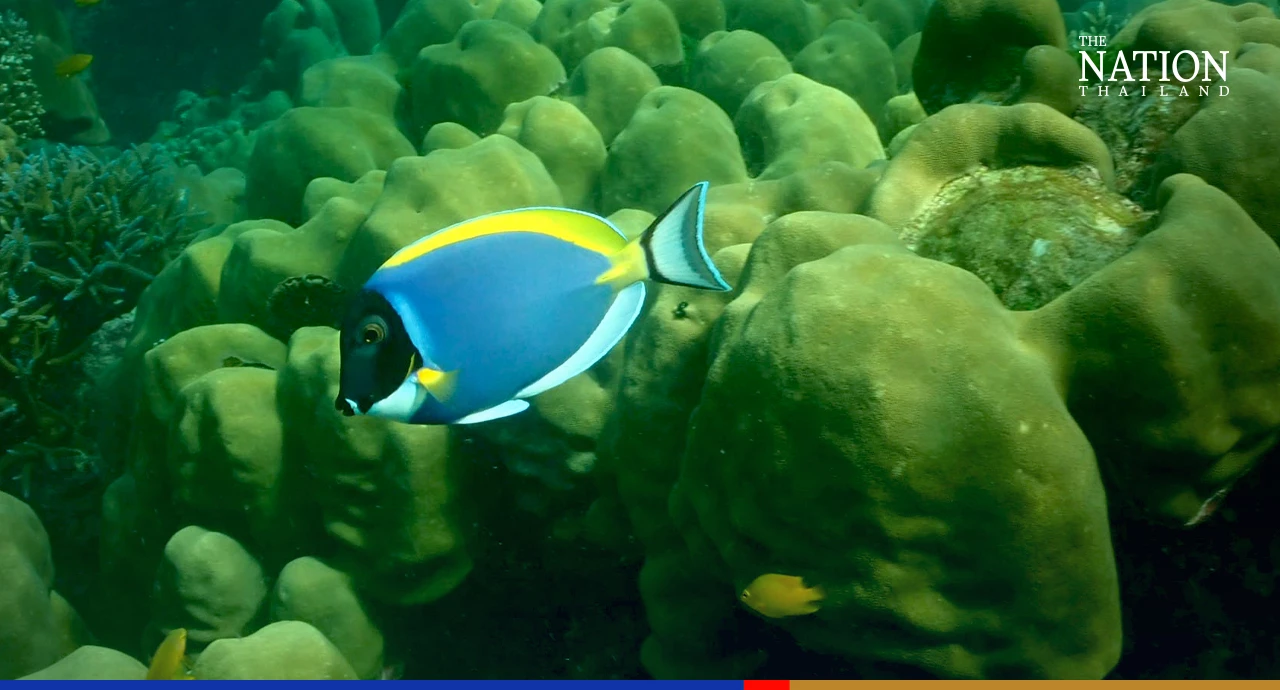 Surin Islands closed to tourists for 2 days due to dangerous weather