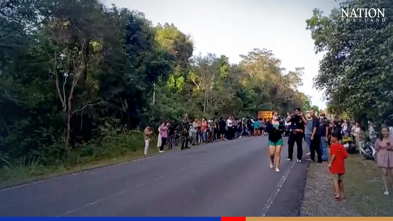 Strolling wild elephants bring traffic to a stop in Khao Yai