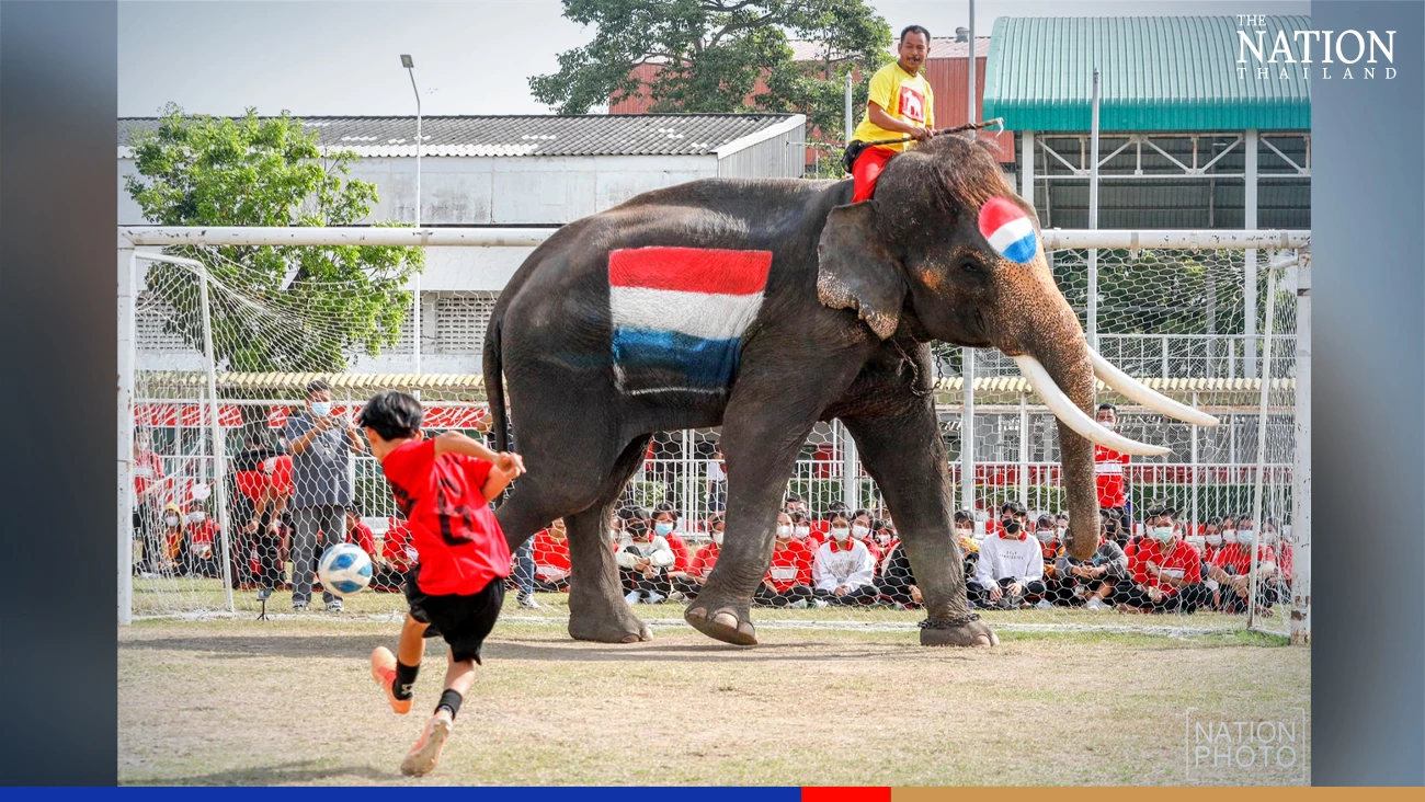 Ayutthaya kids recreate Fifa World Cup, Thai style