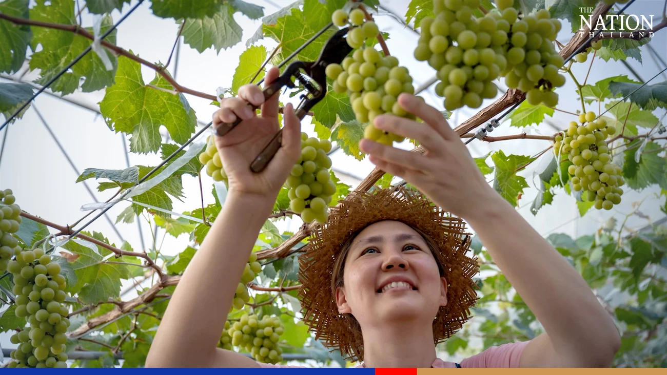 Farm output set to accelerate its rise next year: Office of Agricultural Economics