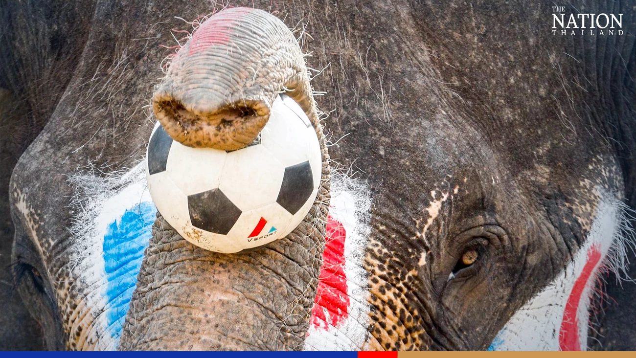 Ayutthaya kids recreate Fifa World Cup, Thai style