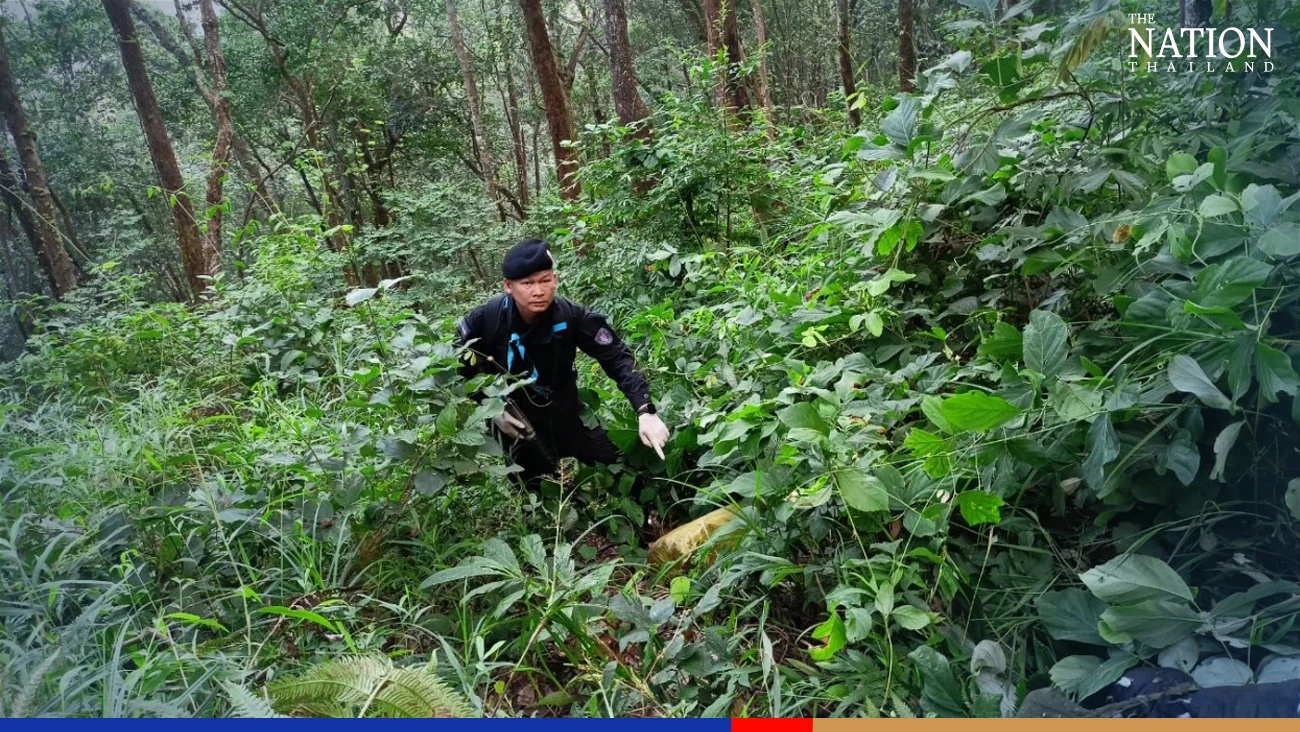 15 ‘drug smugglers’ killed in gunfight with soldiers in Chiang Mai