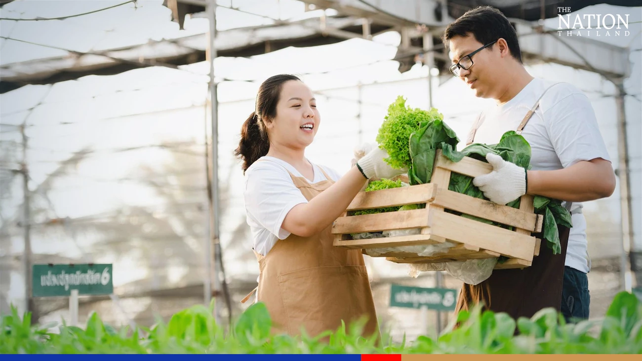 Farm output set to accelerate its rise next year: Office of Agricultural Economics