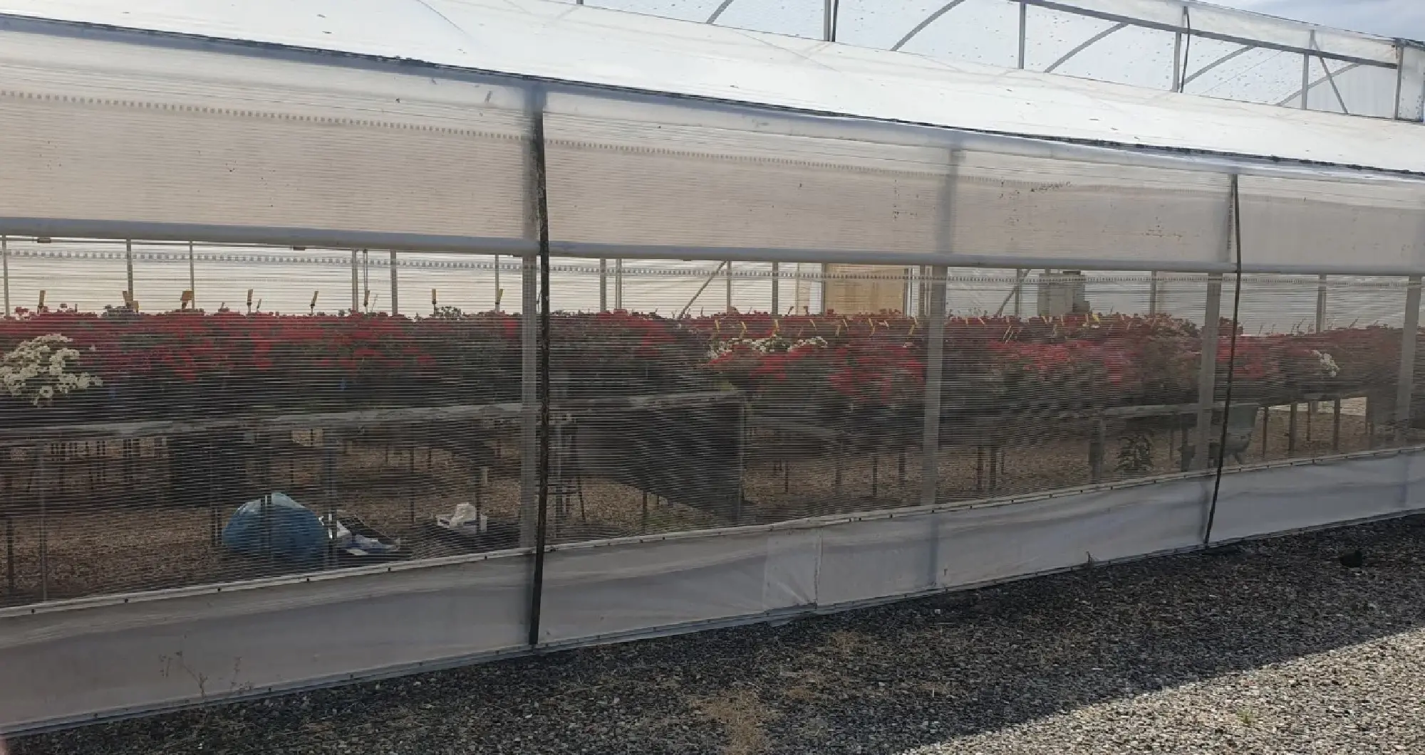 TISTR in talk with Sydney University’s Plant Breeding Institute for agricultural technology collaboration