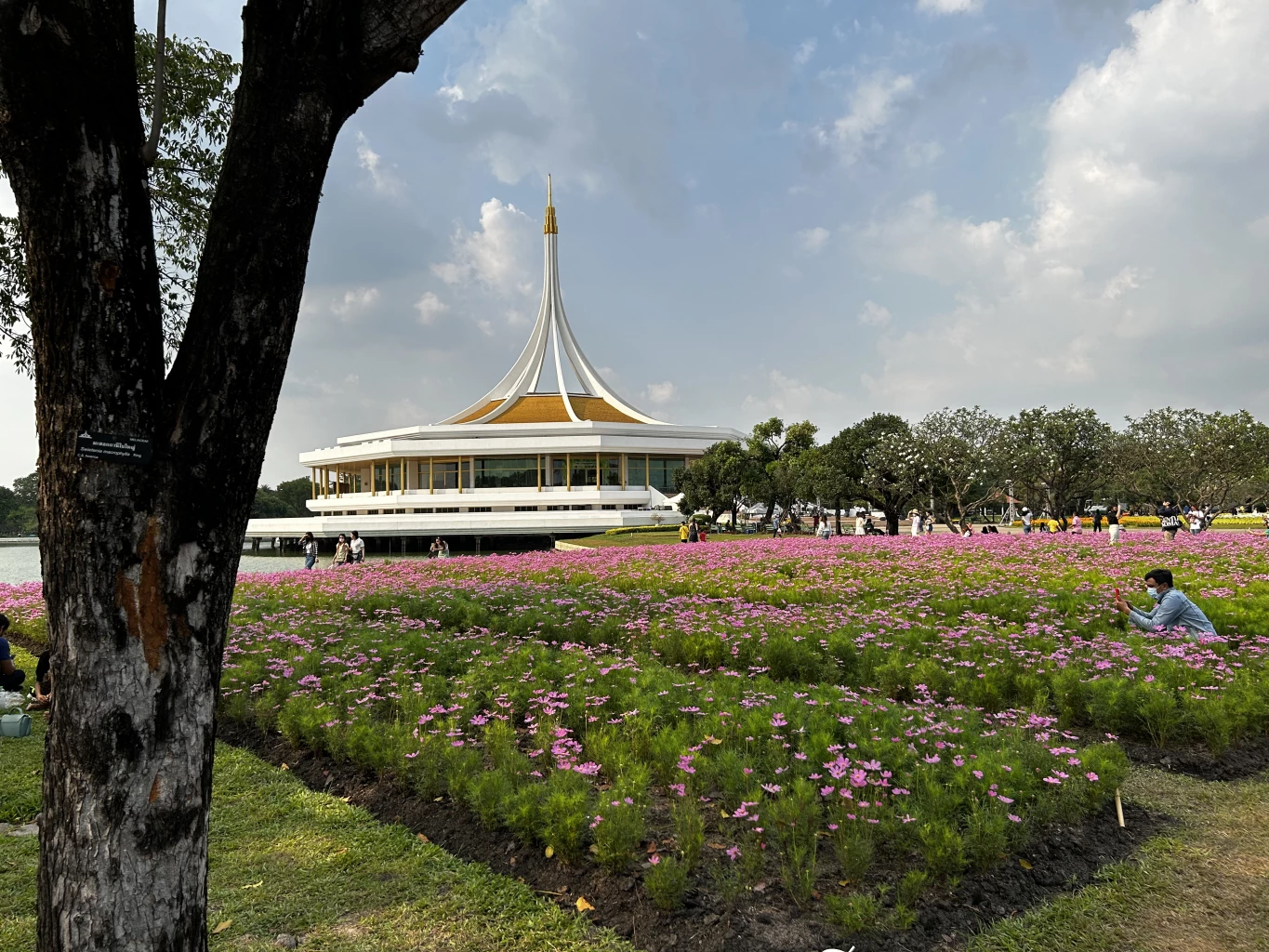 Tech Review: The iPhone 14 Plus shines with its excellent display and cameras