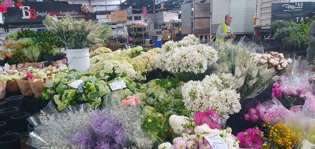 TISTR in talk with Sydney University’s Plant Breeding Institute for agricultural technology collaboration