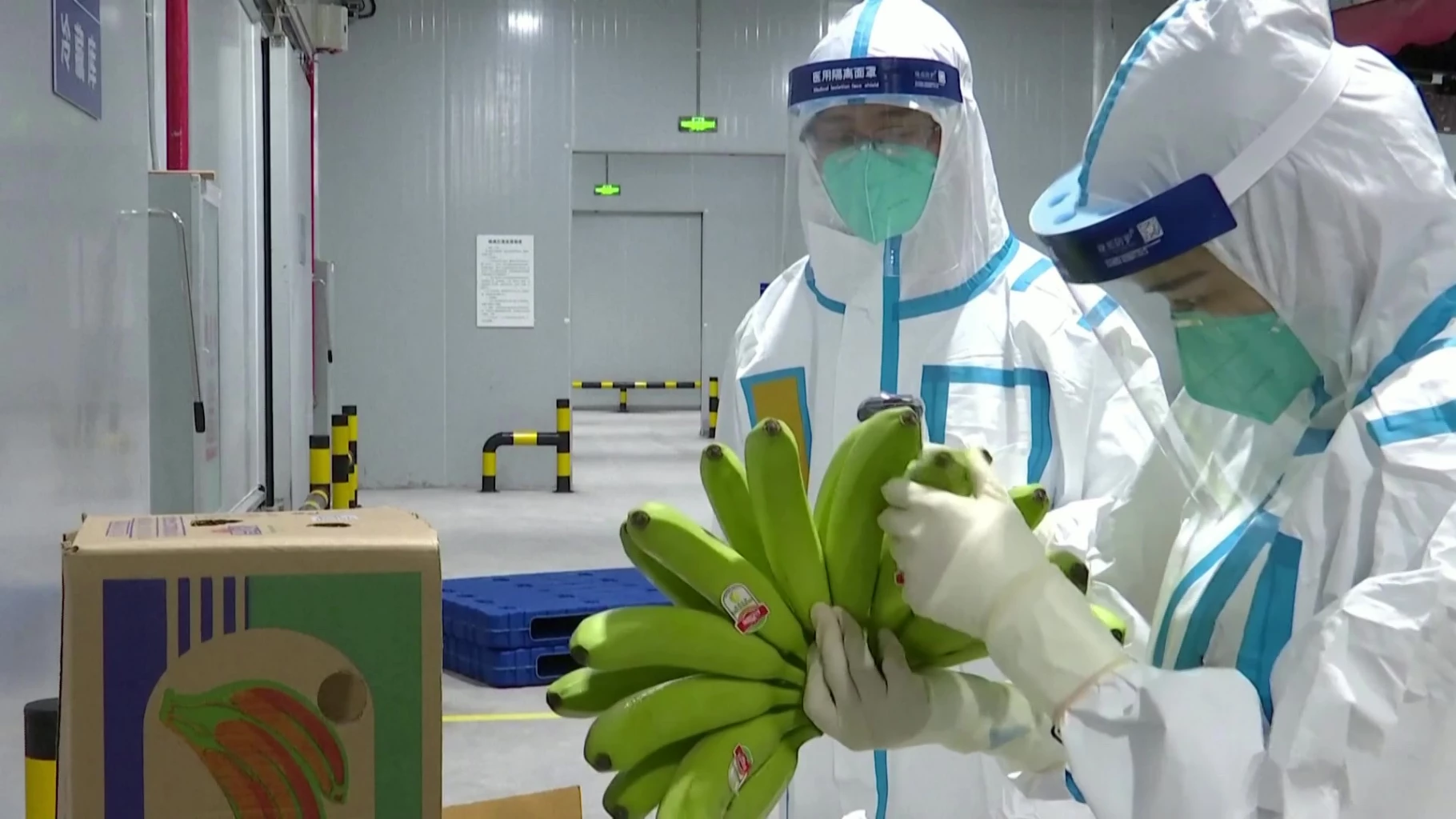 First fruit transportation train launched on China-Laos Railway