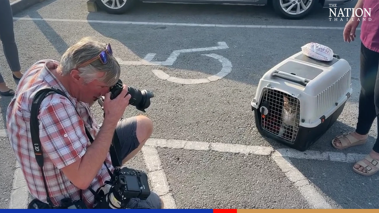 England return home with World Cup consolation prize – meet Dave