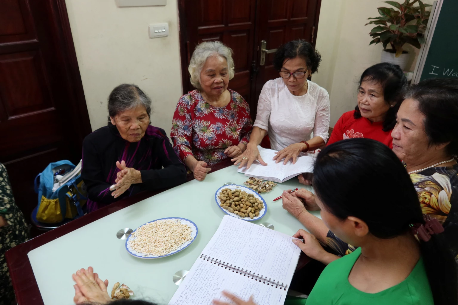For Hanoi grannies, it's "never too old to learn English"