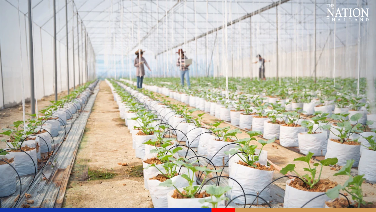 Farm output set to accelerate its rise next year: Office of Agricultural Economics