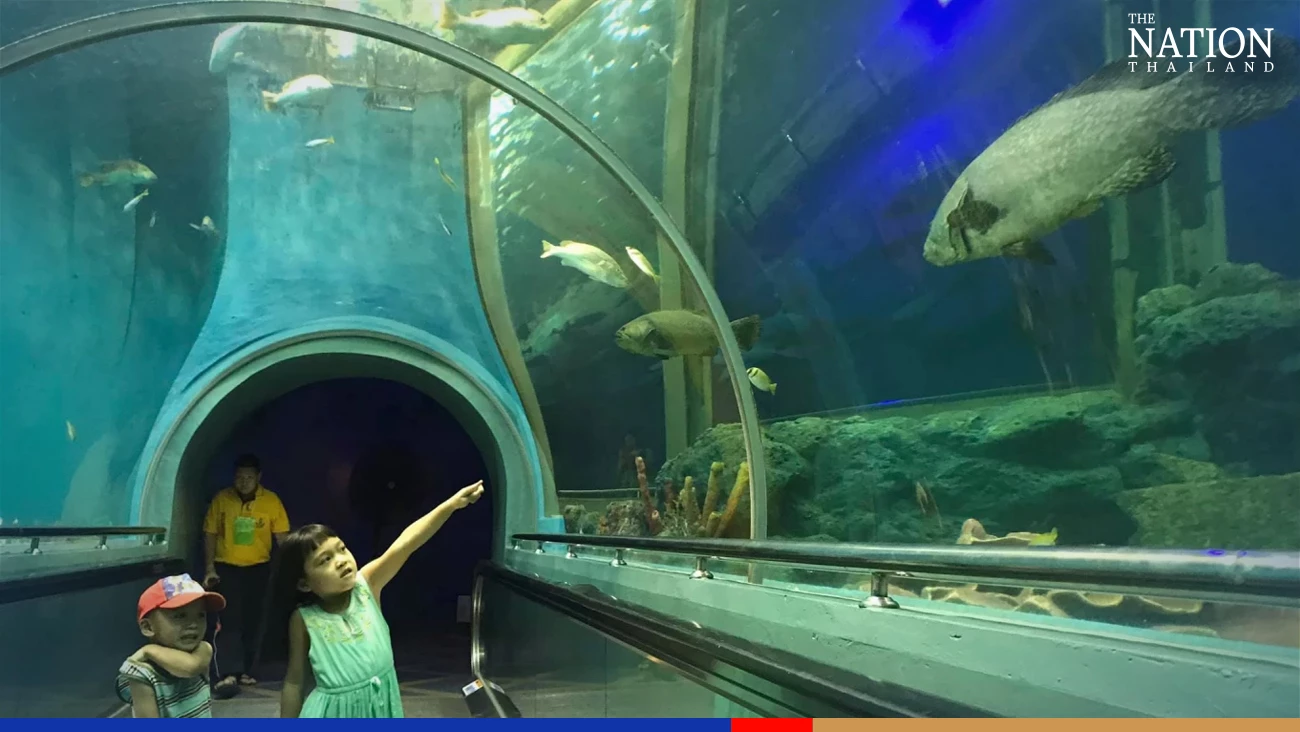 Public gets free entry to 10 aquariums in Thailand from Dec 30 to Jan 3