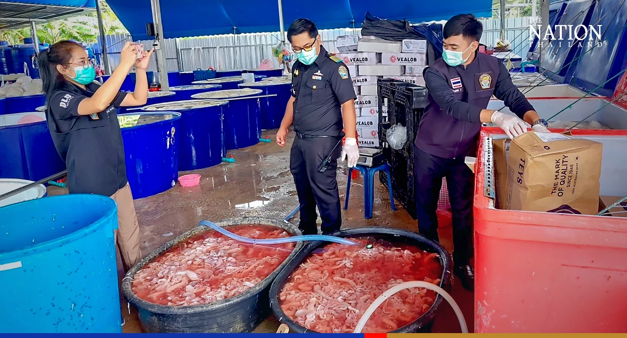 Over 25 tonnes of meat, formaldehyde-spiked offal seized from unlicensed factory in Chonburi