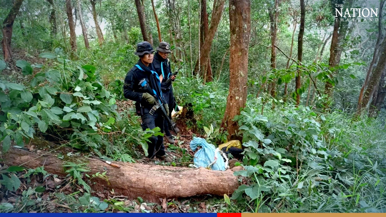 15 ‘drug smugglers’ killed in gunfight with soldiers in Chiang Mai