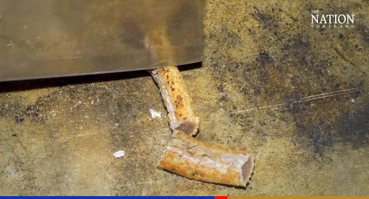 Cool season gives reprieve to buffalo-skin chefs in the Northeast