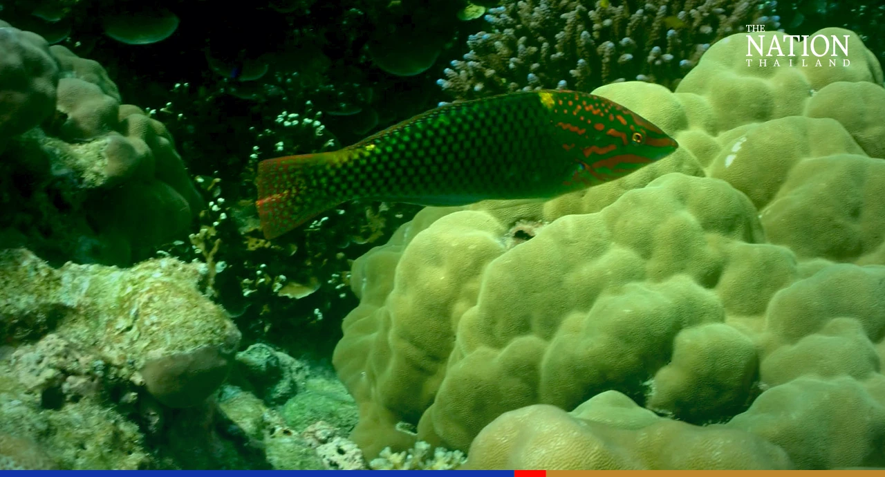 Surin Islands closed to tourists for 2 days due to dangerous weather