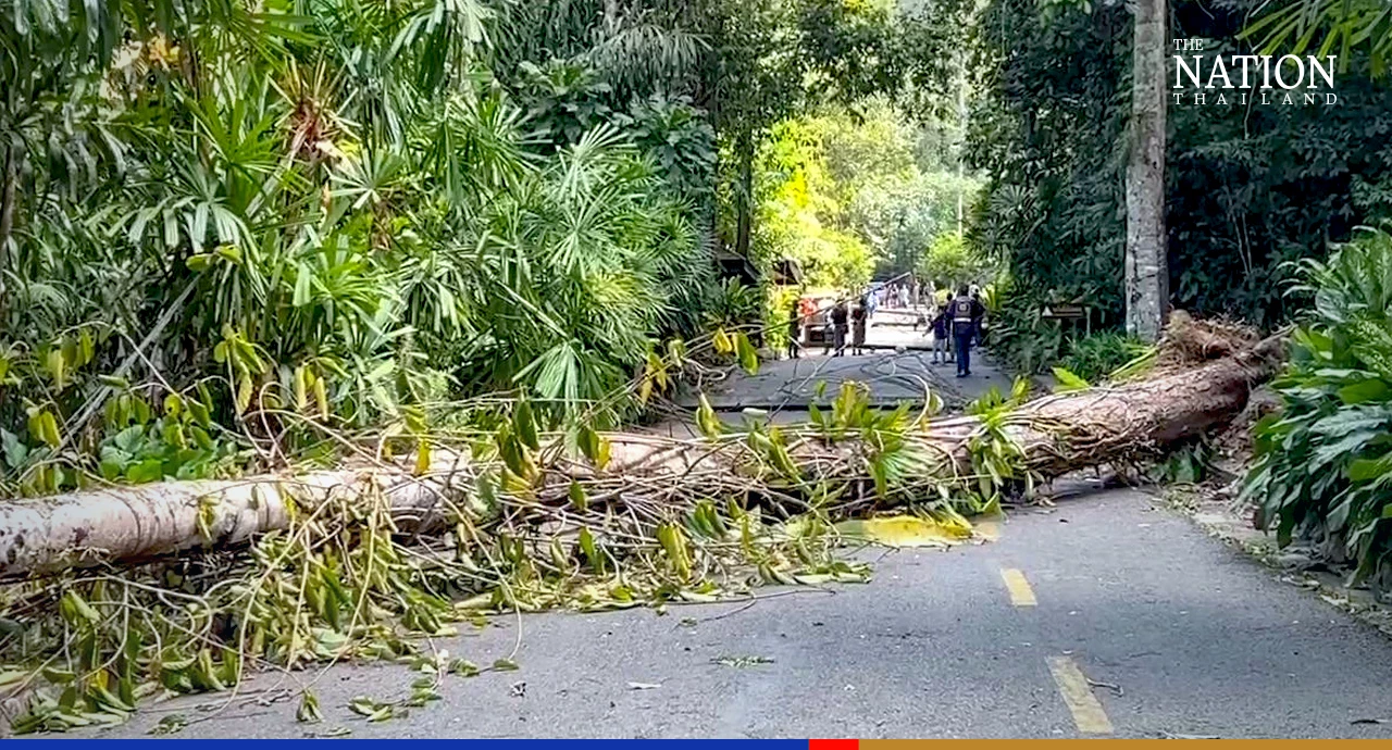 Freak of nature: Woman killed as sudden strong winds knock down power poles in Chanthaburi