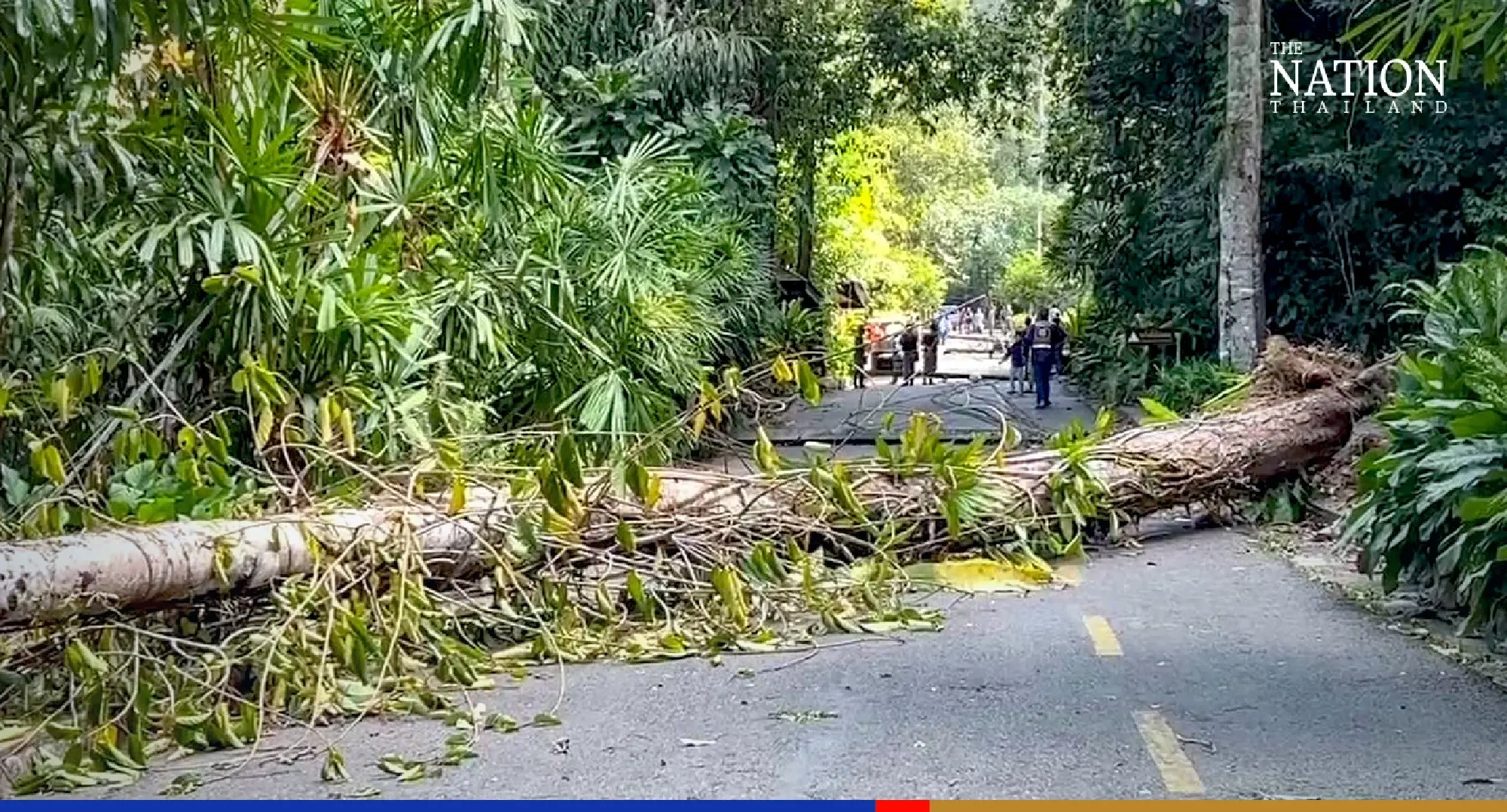 Freak of nature: Woman killed as sudden strong winds knock down power poles in Chanthaburi