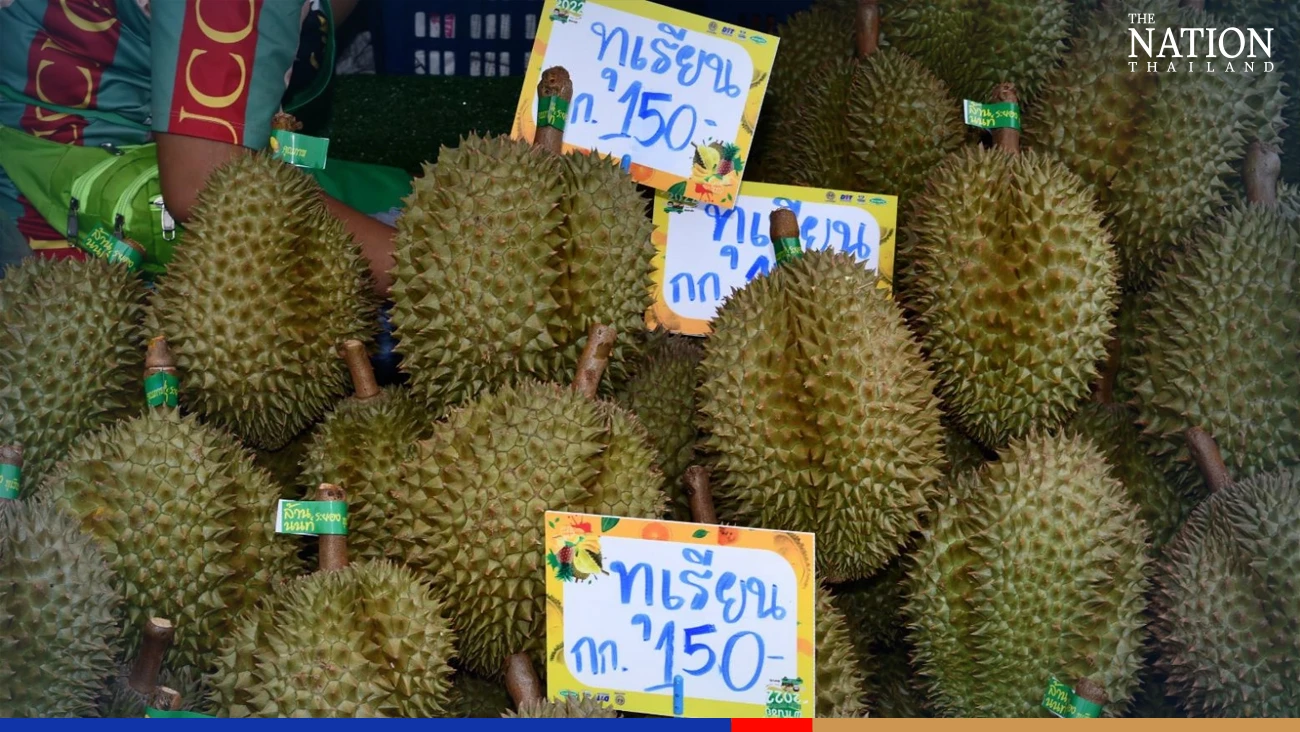 Commerce Minister moving swiftly on high-speed access to China's market