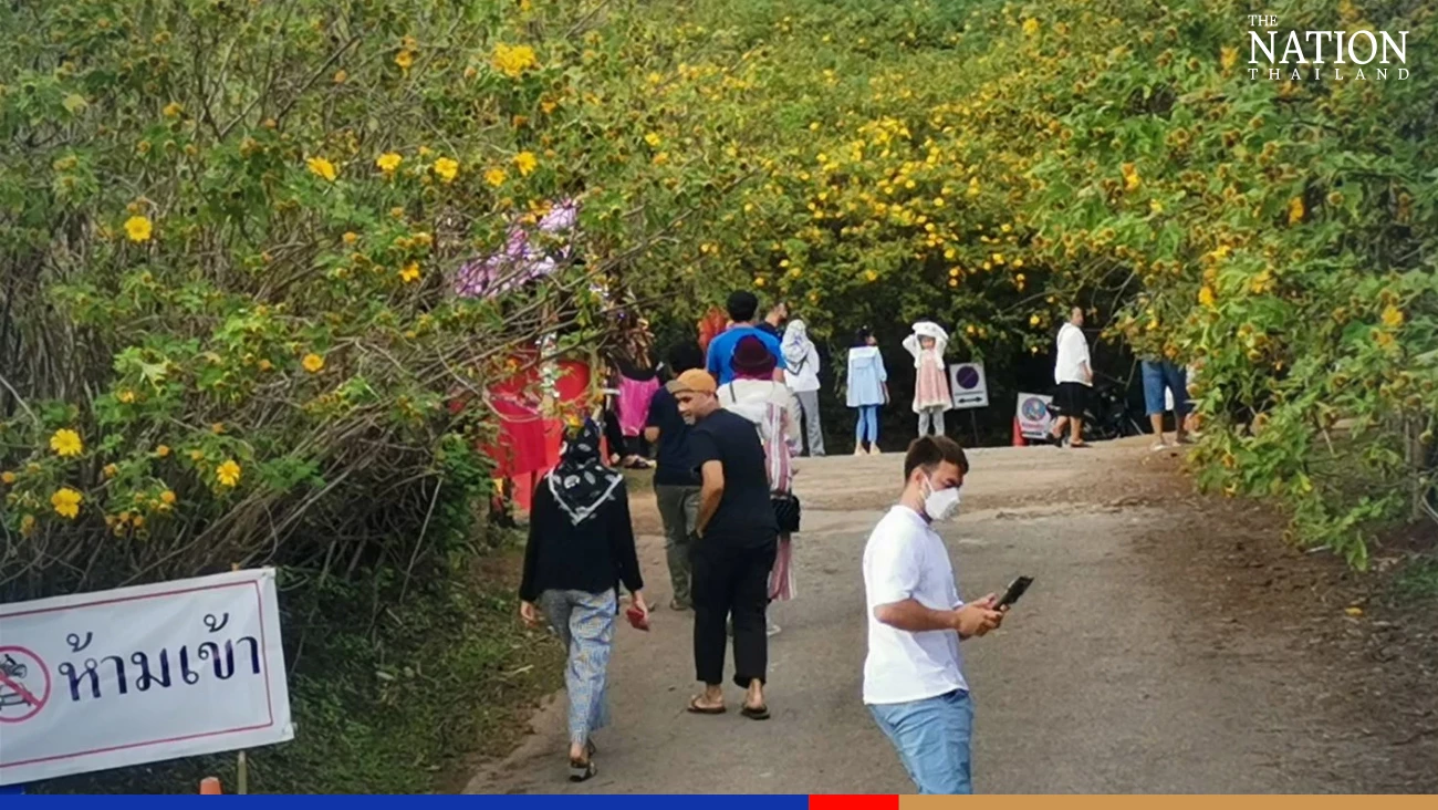 Visitors sleep in cars as ‘Switzerland of Thailand’ overflows during chilly long weekend