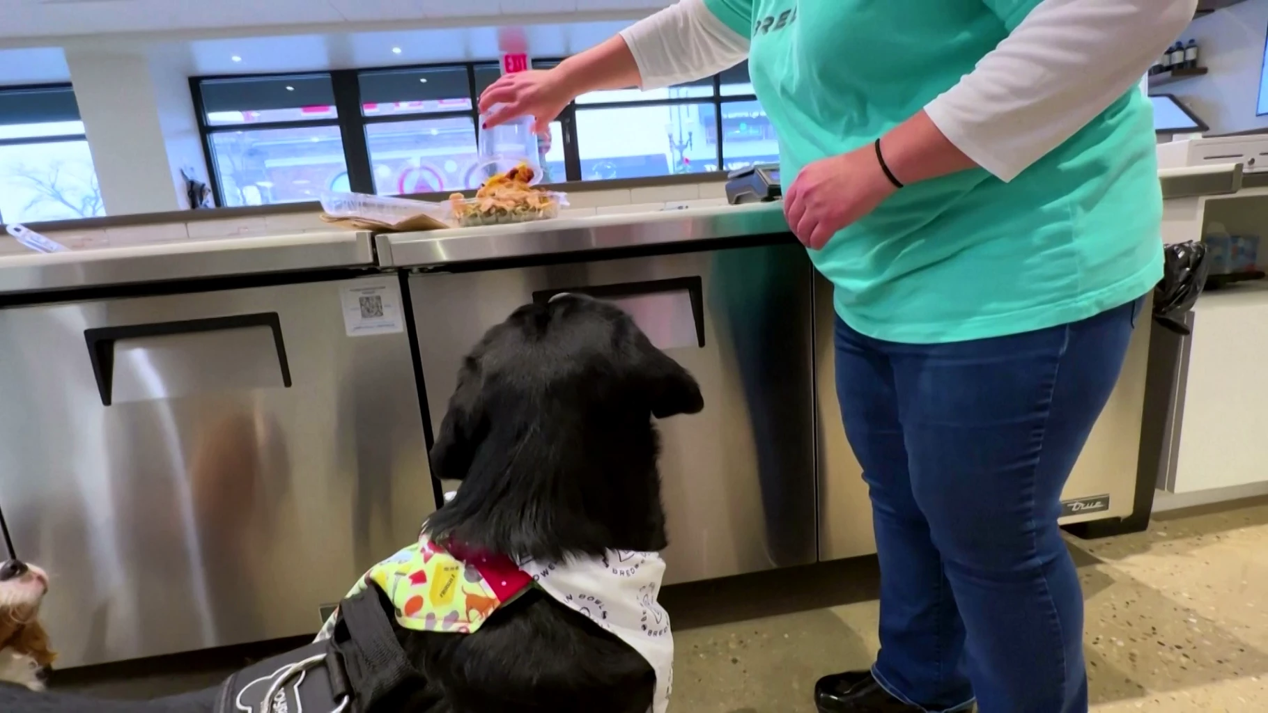 Has Chicago dining gone to the dogs? Check out this pooches-only restaurant