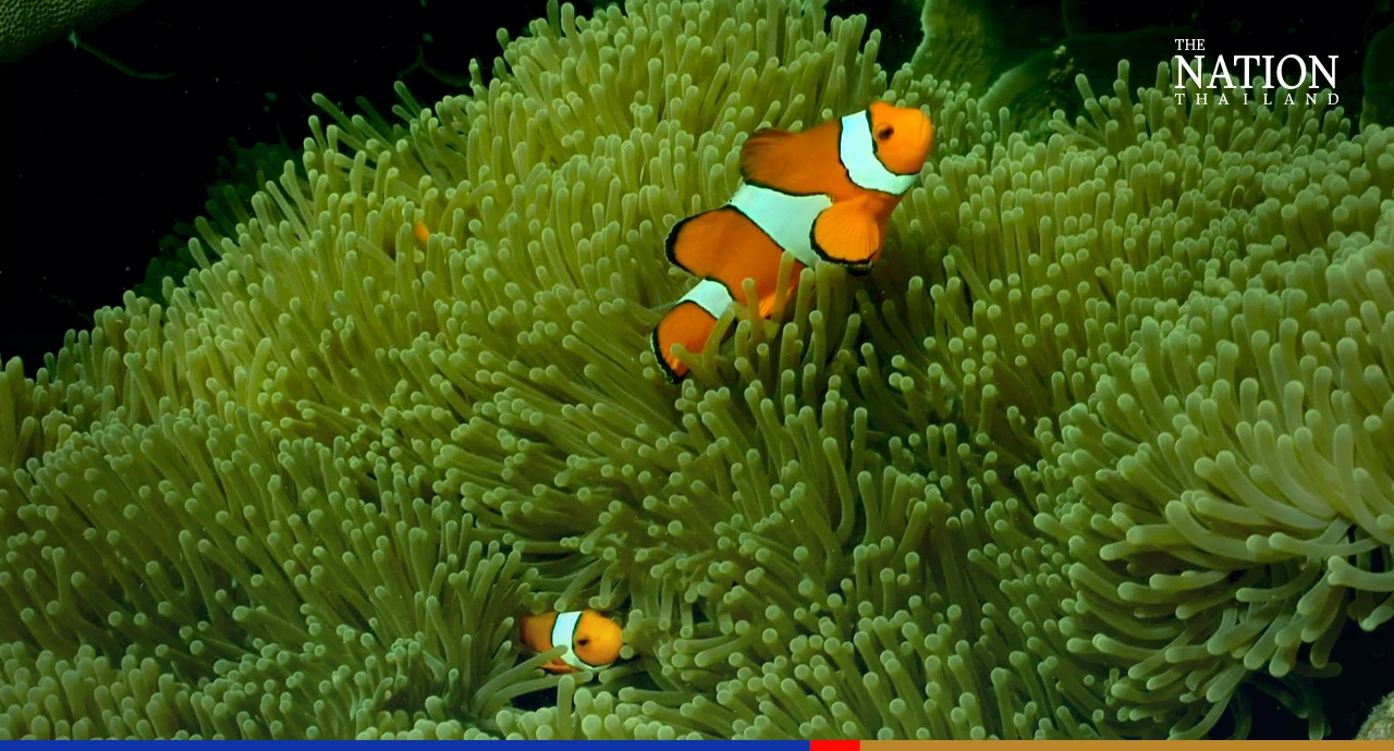 Surin Islands closed to tourists for 2 days due to dangerous weather