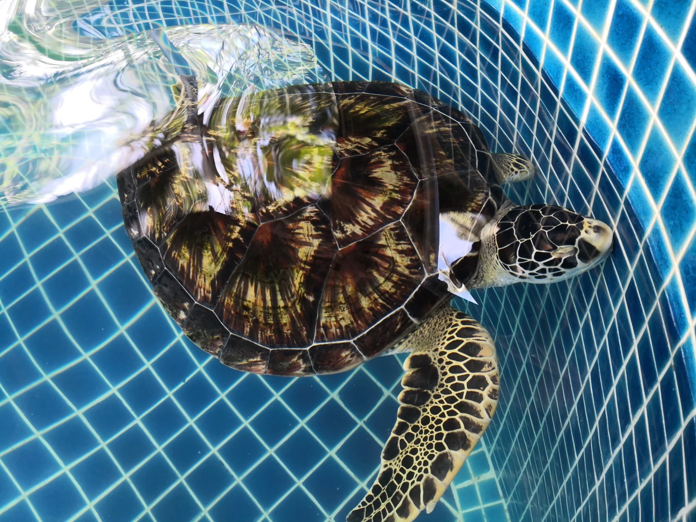 Ten meaningful experiences to gift loved ones this Christmas