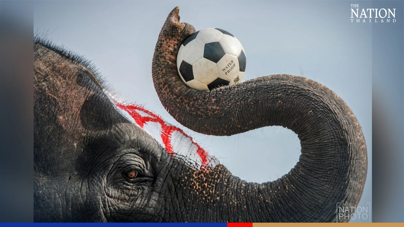 Ayutthaya kids recreate Fifa World Cup, Thai style