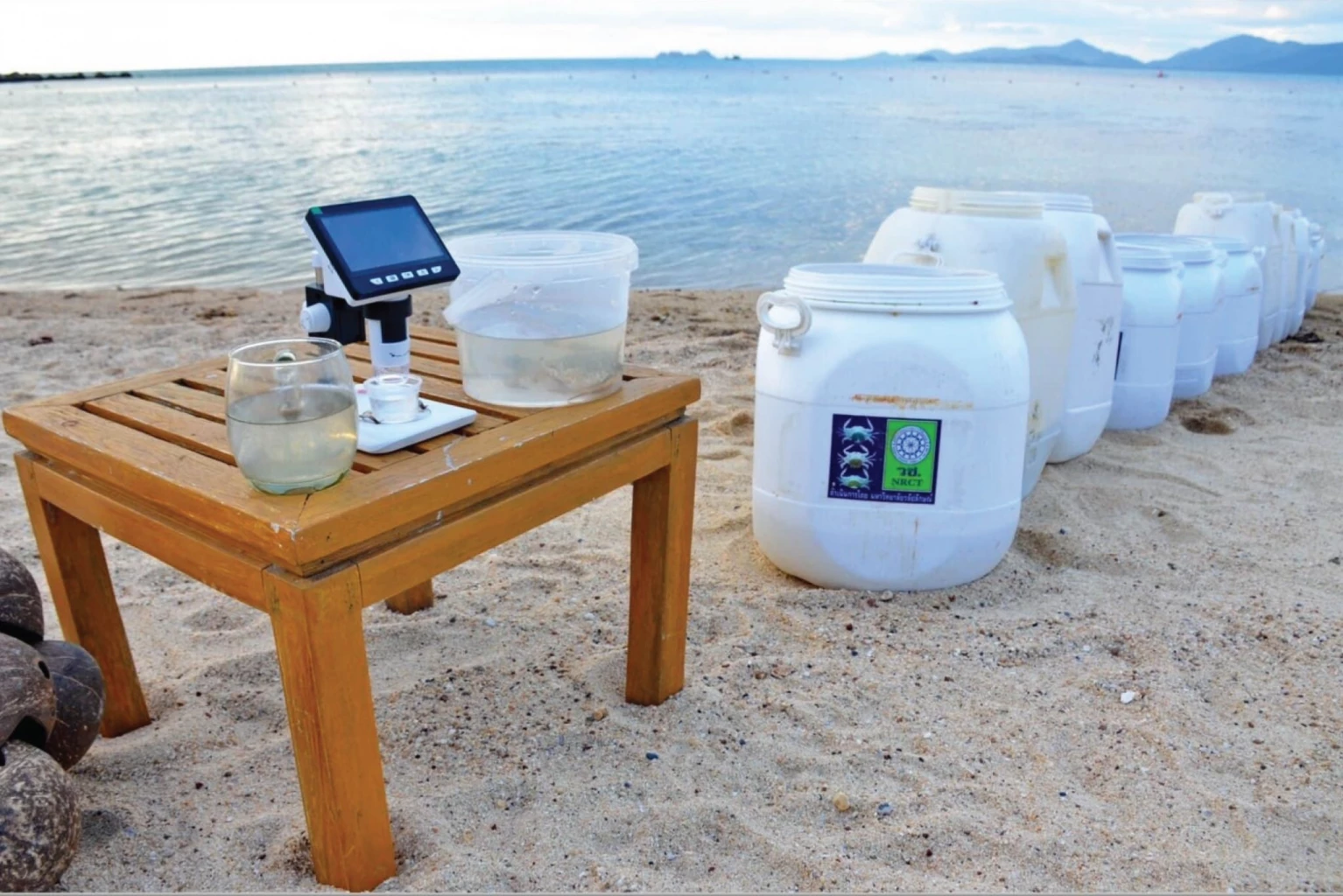 Ten meaningful experiences to gift loved ones this Christmas