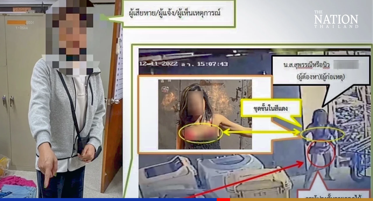 Burglar wearing bikini bra was not a man in disguise: police