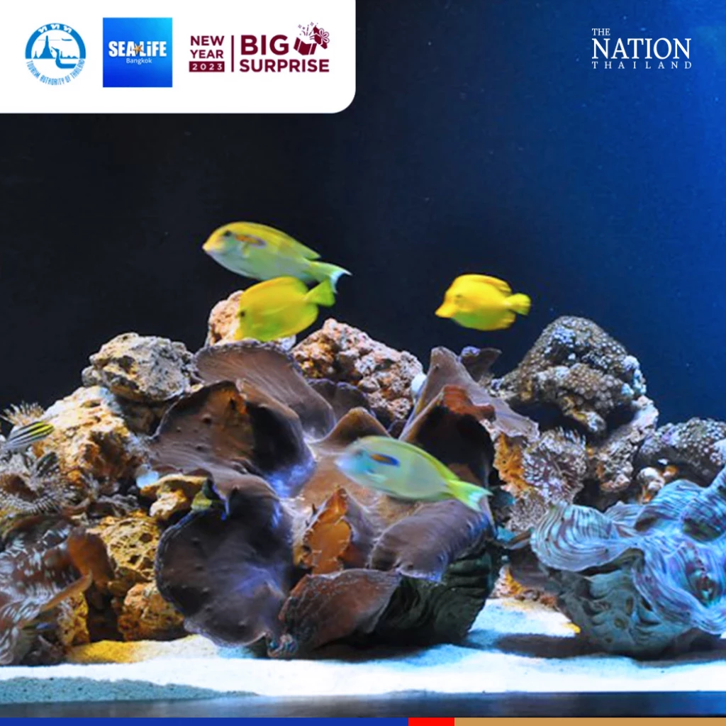 TAT offers ‘big New Year’ surprise for travellers