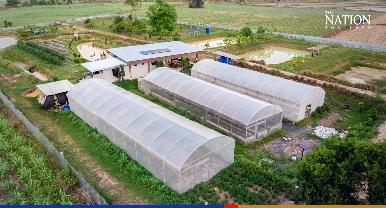 Online platform stands up for 'ugly veggies'