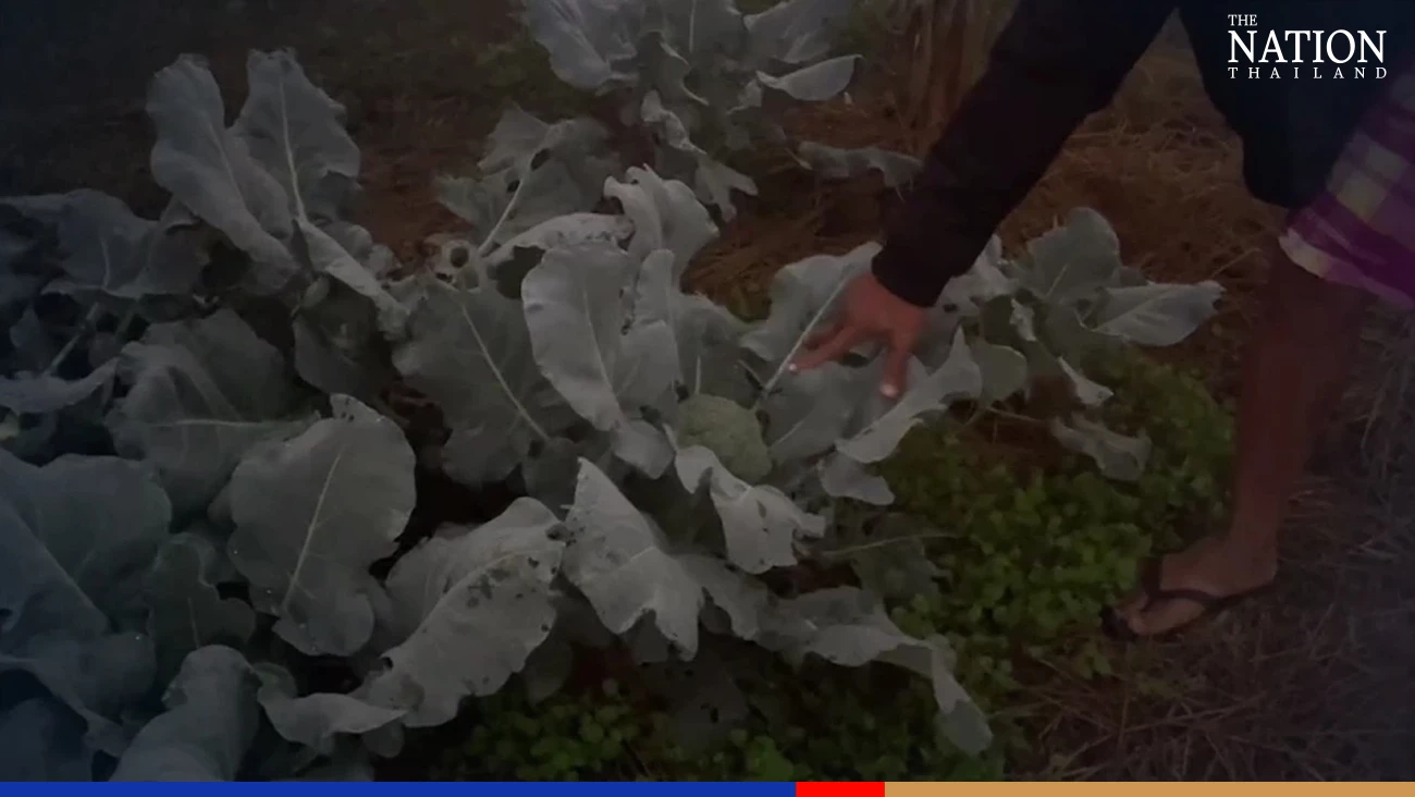 Chaiyaphum man ‘selling’ fresh air at 1,000 baht per hour