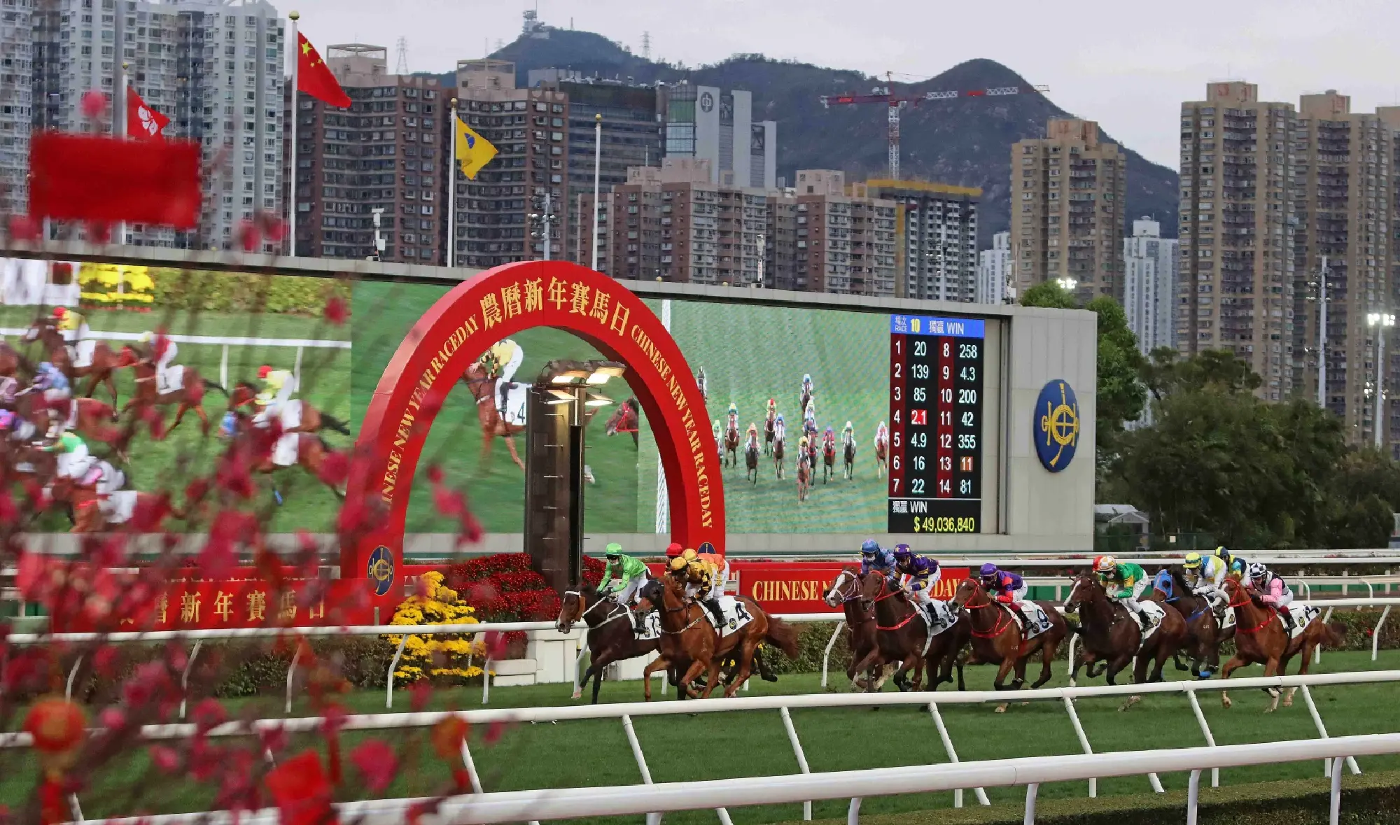 Hop to it: Top Hong Kong\'s Luckiest Spots to Visit in the Year of the Rabbit