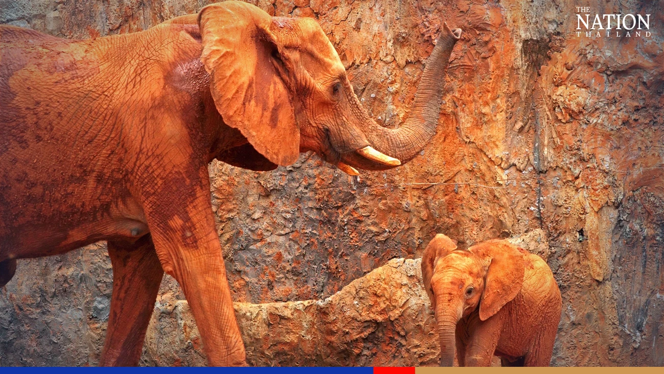 Zoos offer free entrance for kids on Children’s Day