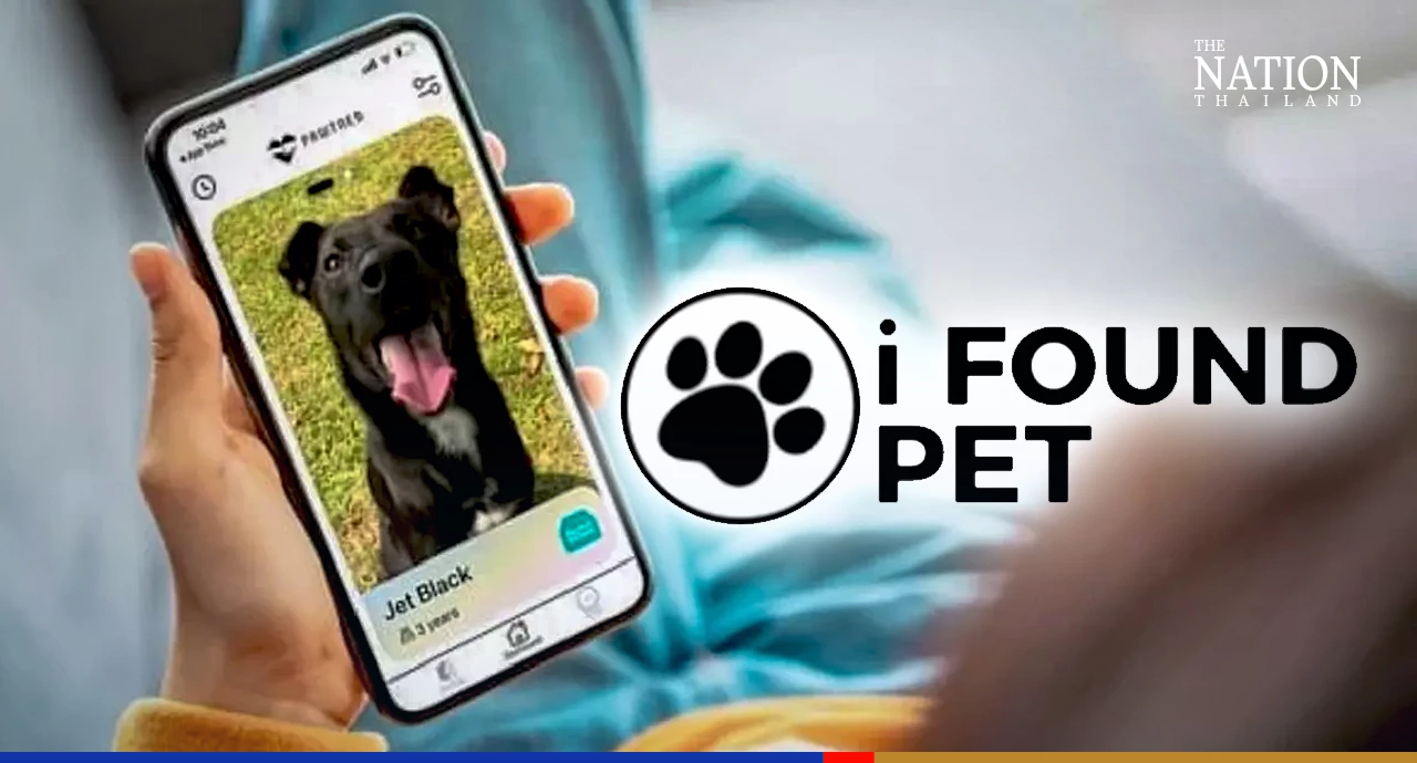 Online platform helps owners find their missing pets