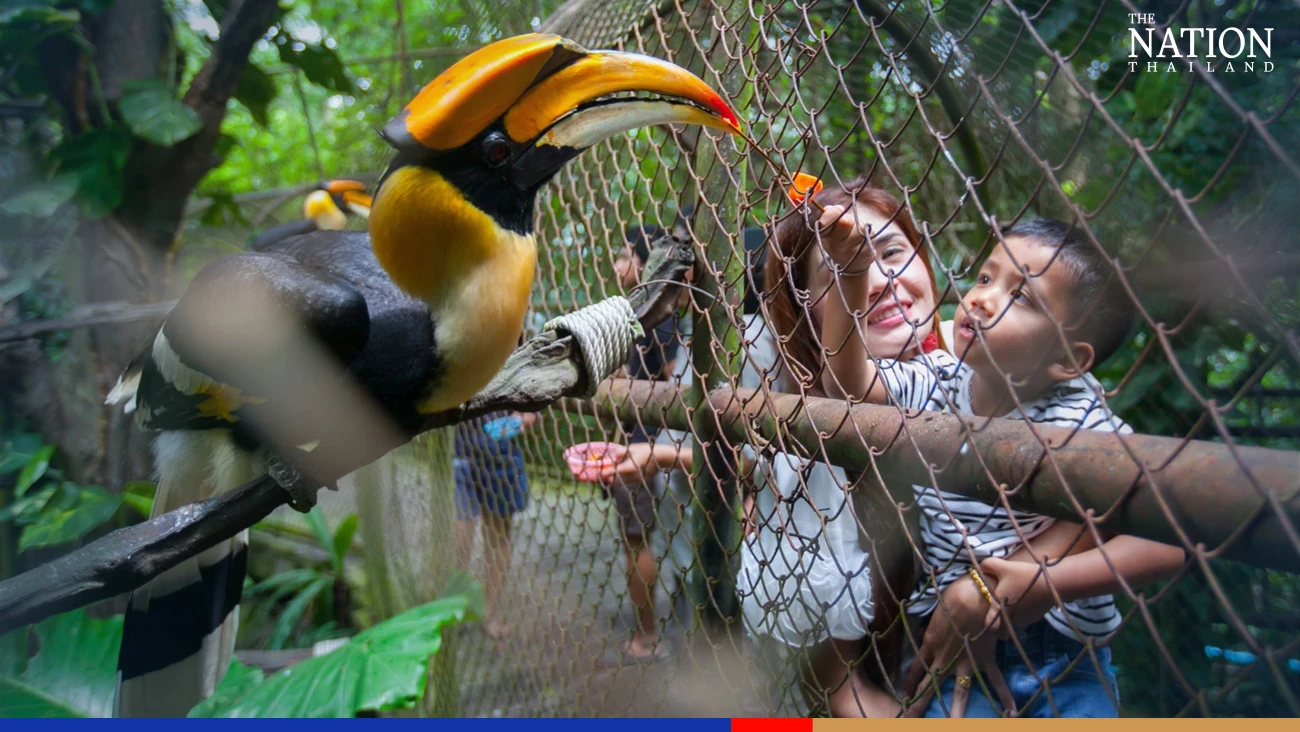 Zoos offer free entrance for kids on Children’s Day